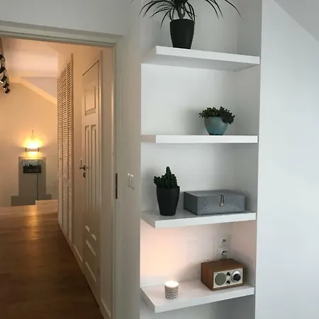 Daire 